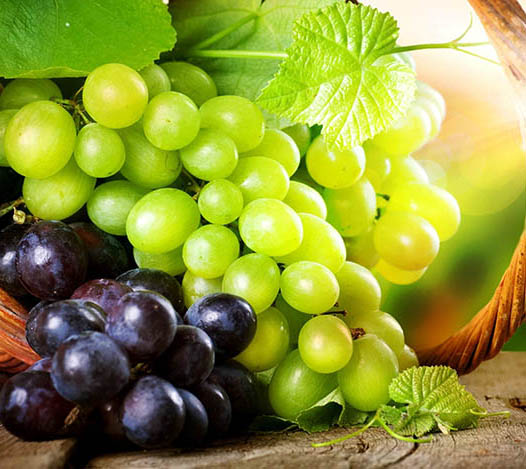 Uvas retardam e previnem aparecimento da degeneração macular associada à idade